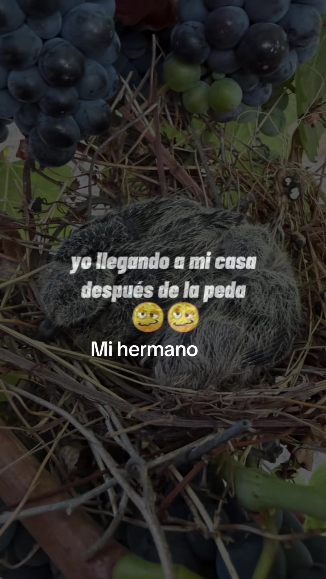 @Sandra Santiago