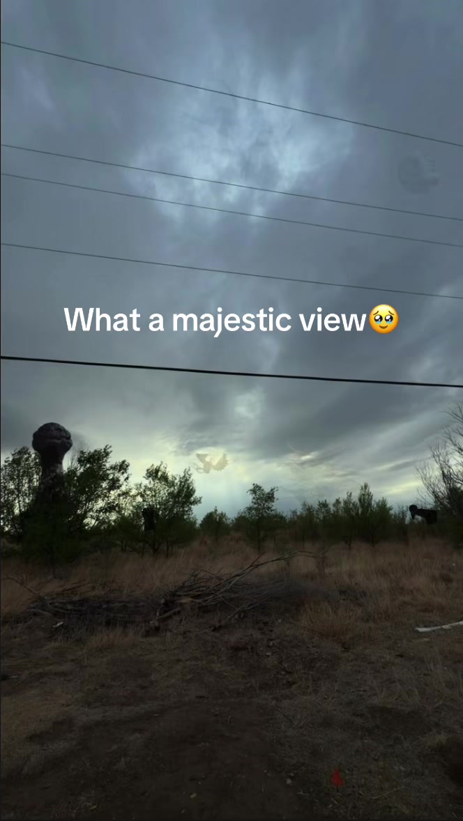 @brybryvvazquez