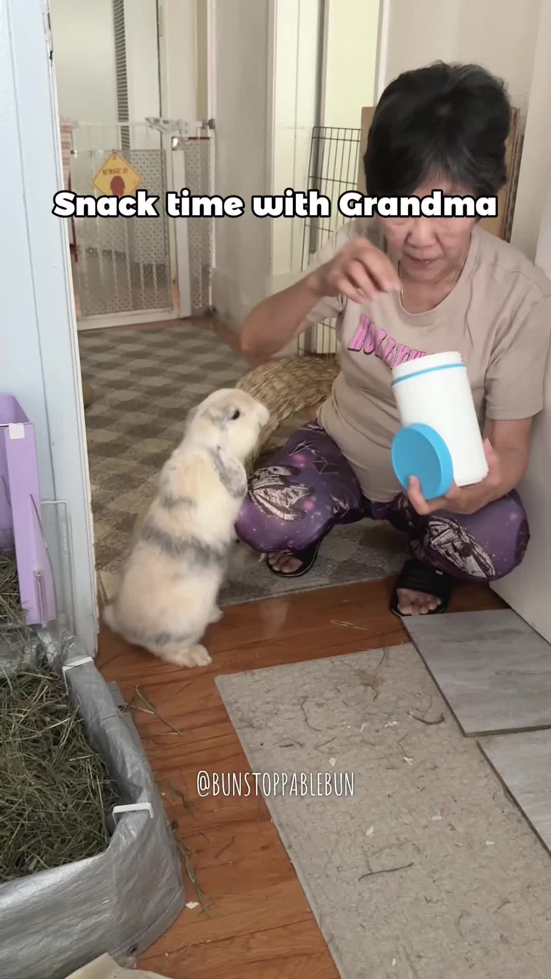 @BunBun, Mochi🌈, Chewy