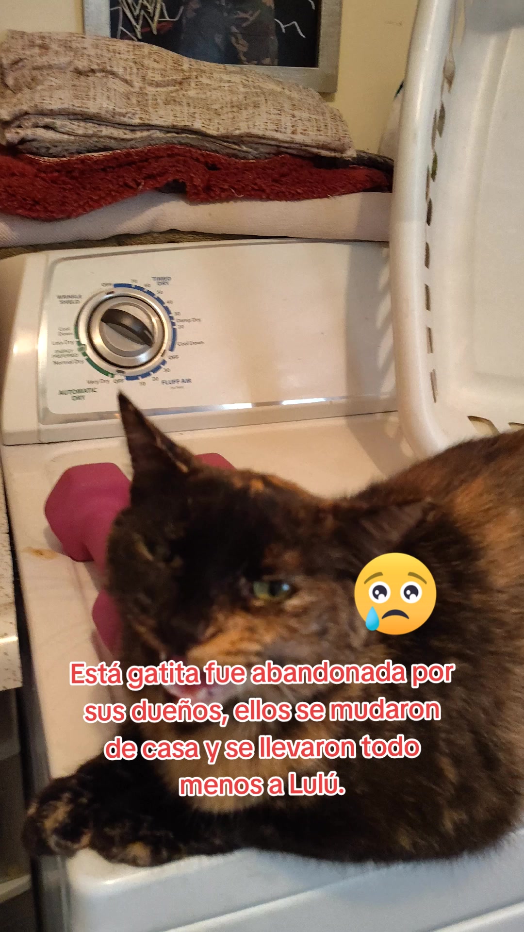 @Charlotte🐕🦺🐈🐕🦬🐐🐎🐄🐒