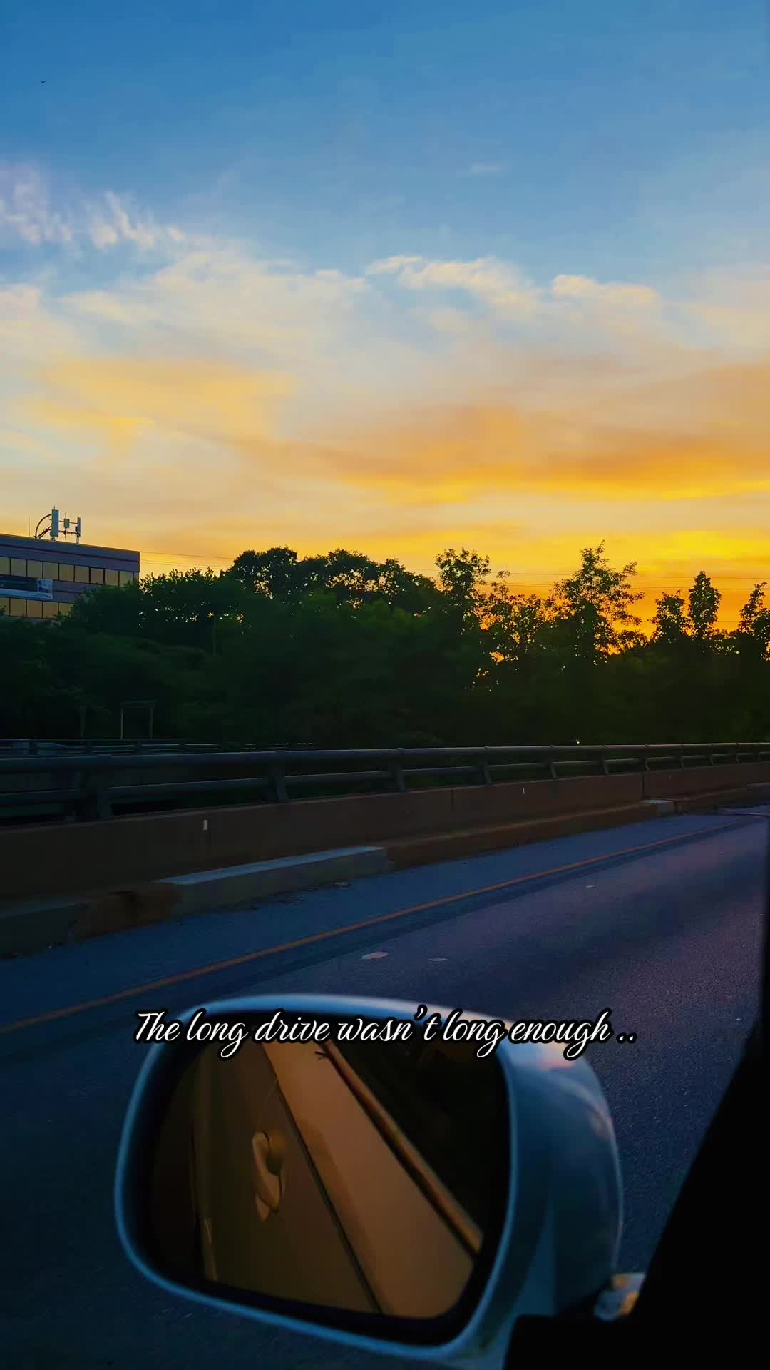 @Danigurl🦮🏇🌅🏳️&zwj;🌈