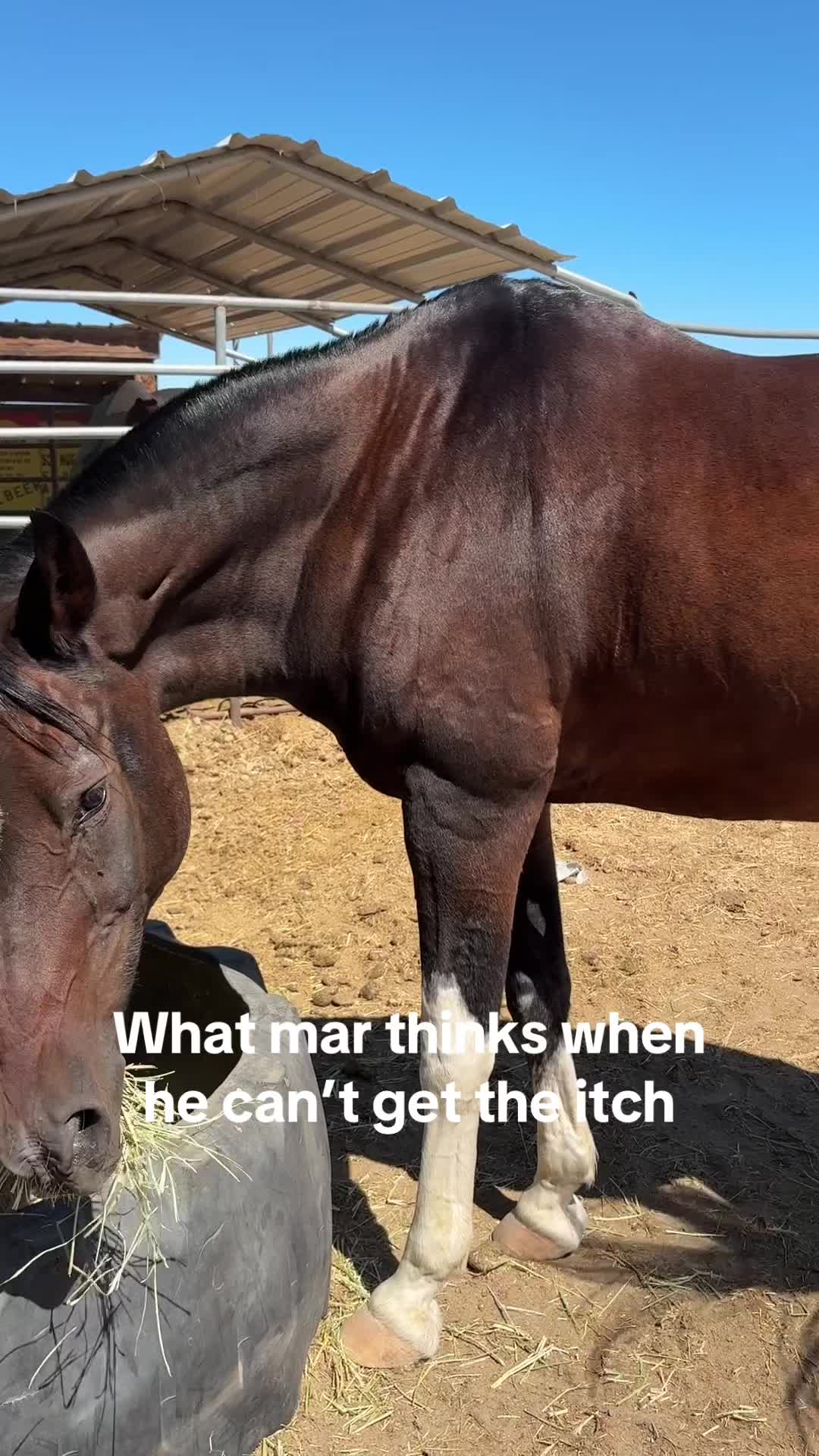 @makaylaCh_