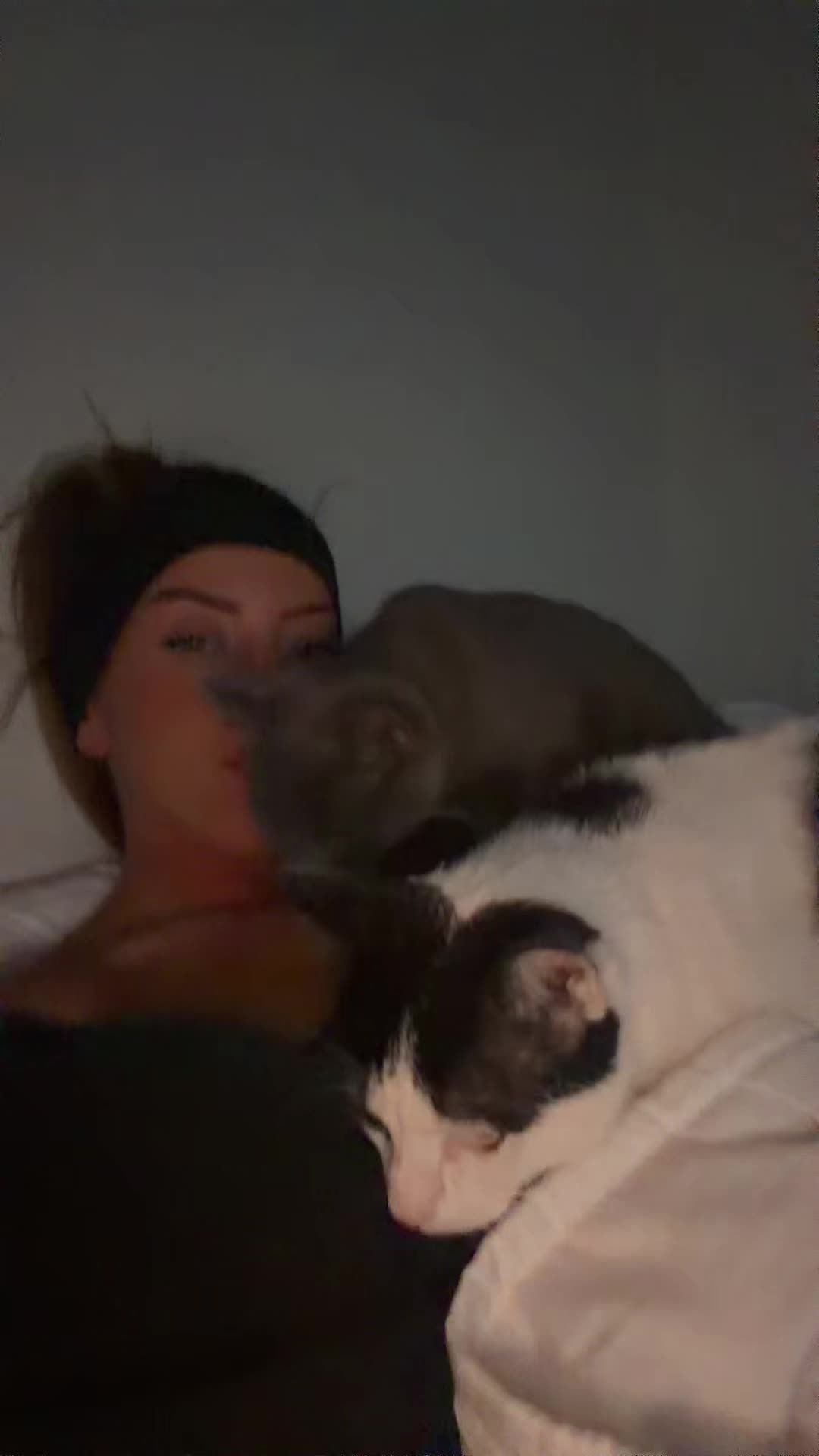 @tiffanimayb