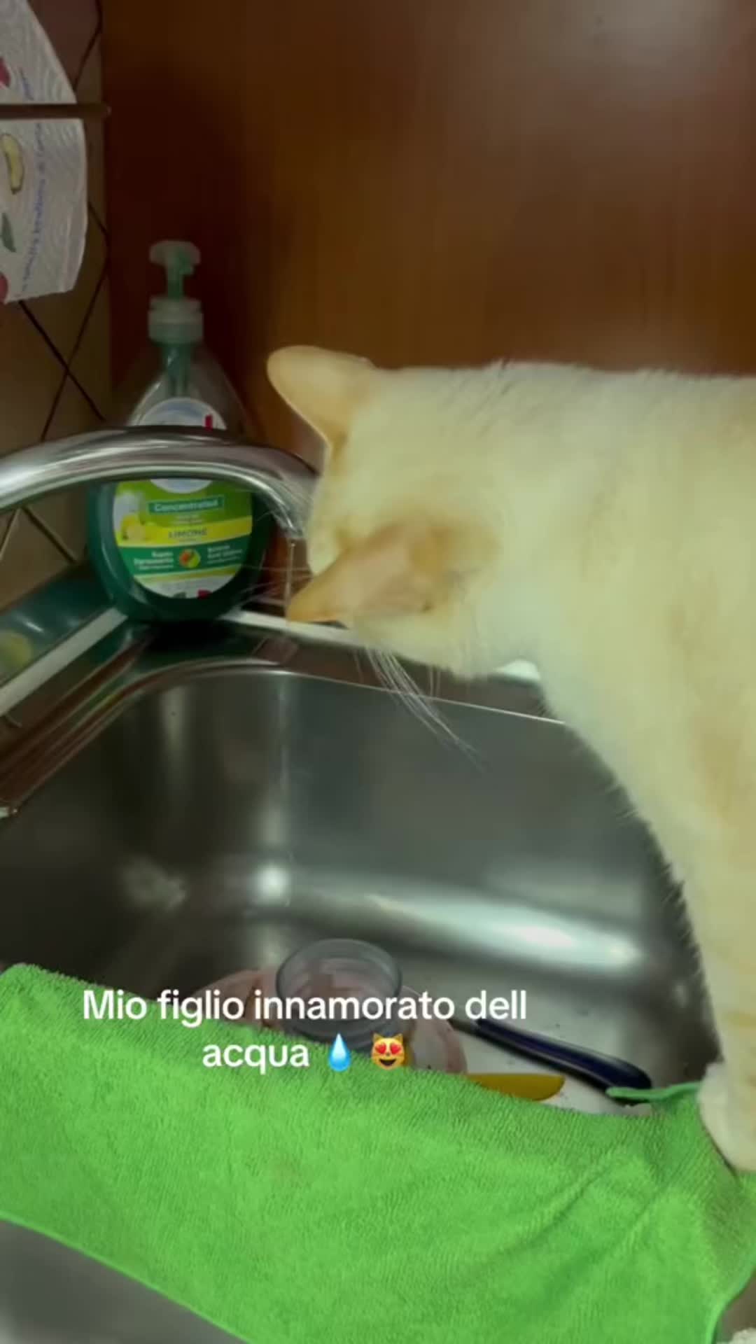 @philippina09