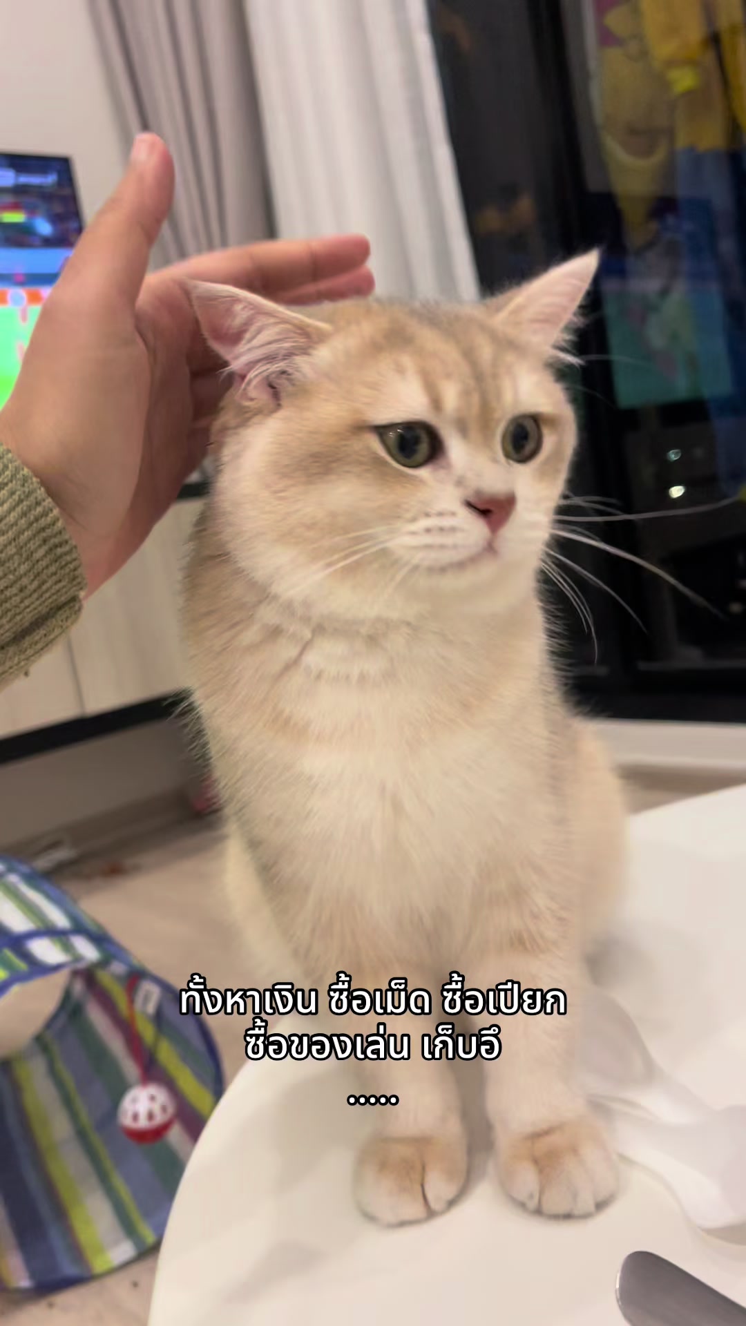 @ฟู่กุ้ย Fugui