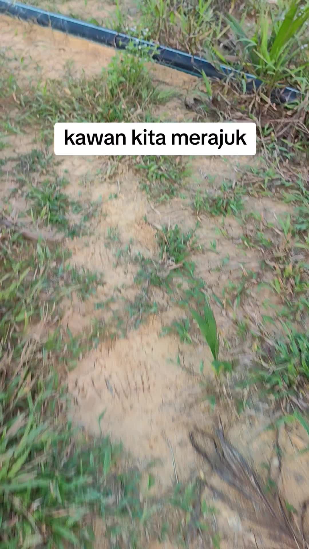 @SAHWI