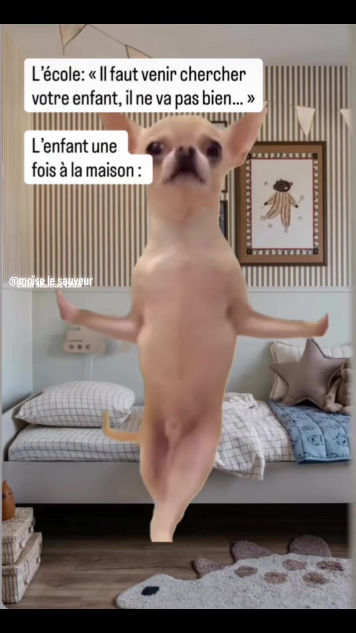 @Moïse_le_sauveur