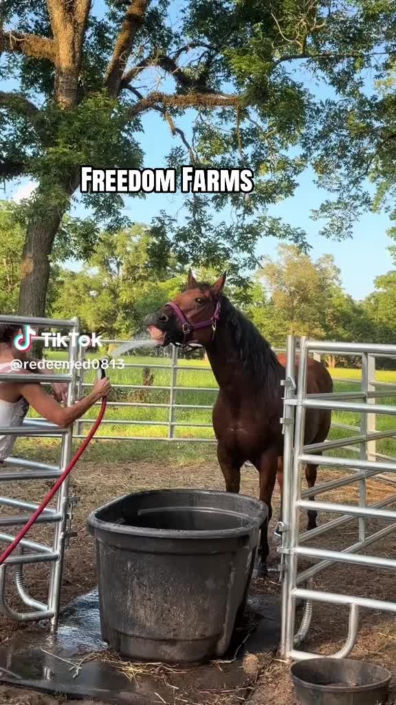 @FreedomHouse