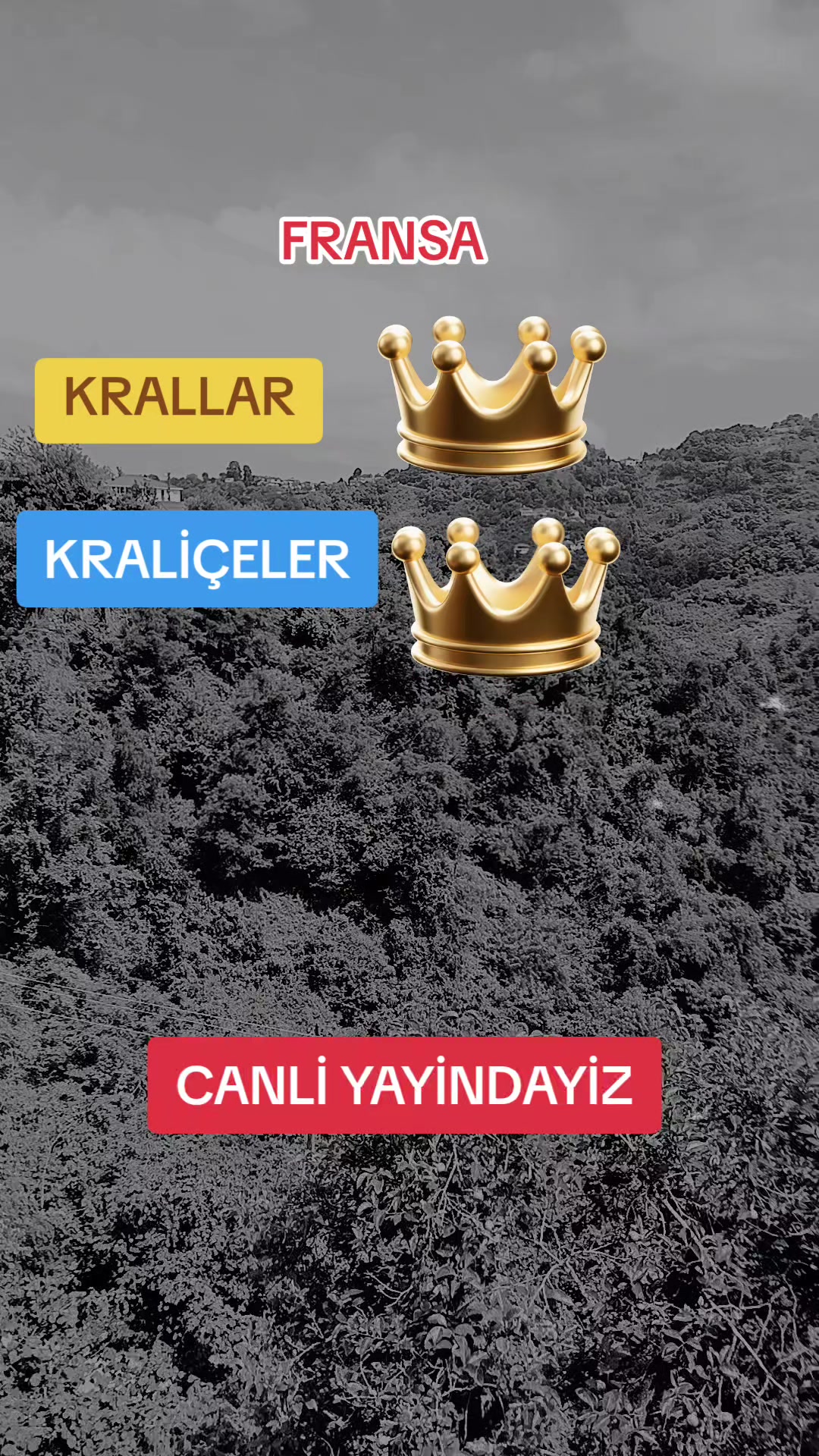 @KRALİYET ÇİTASİ