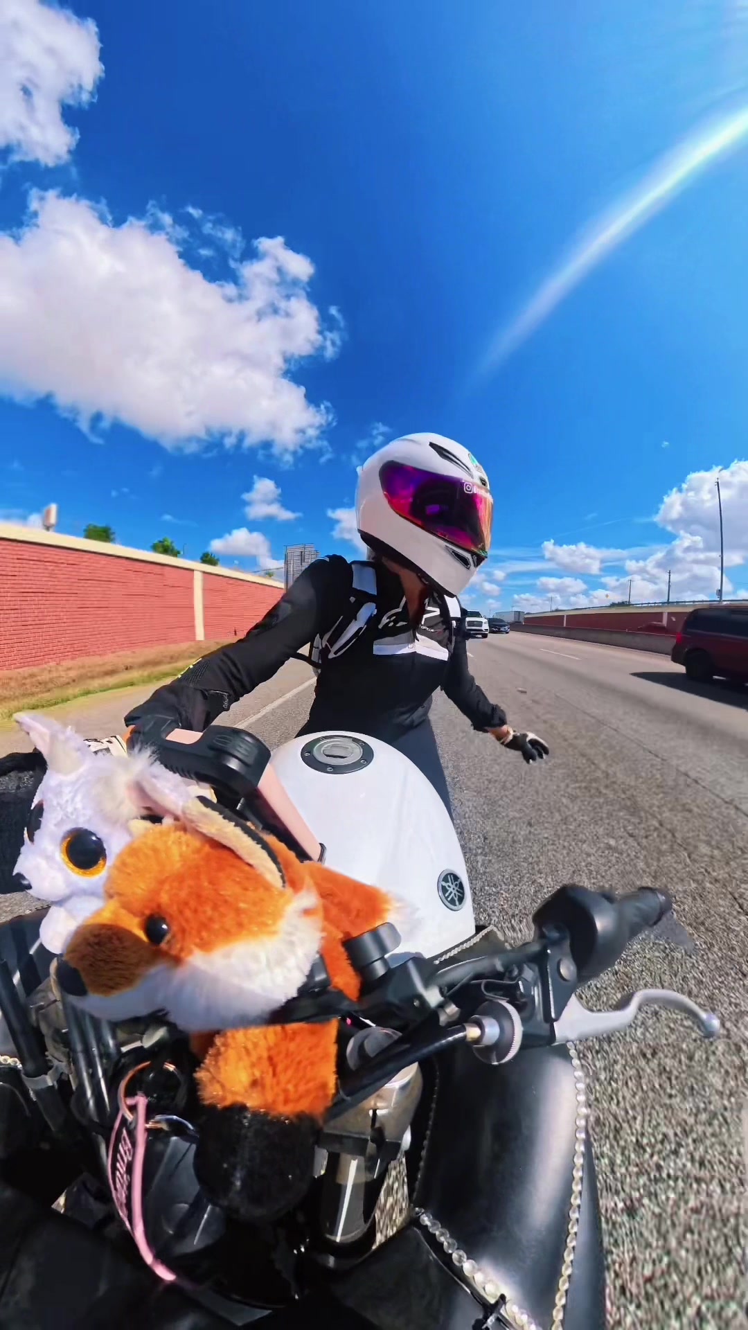 @𝓑𝓻𝓲𝓽🦊