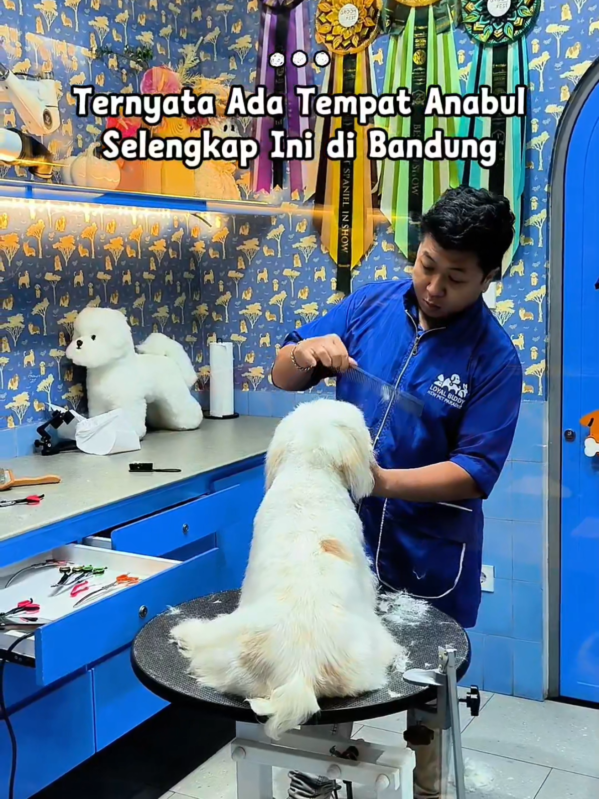 @Ariyanti || si MissKul