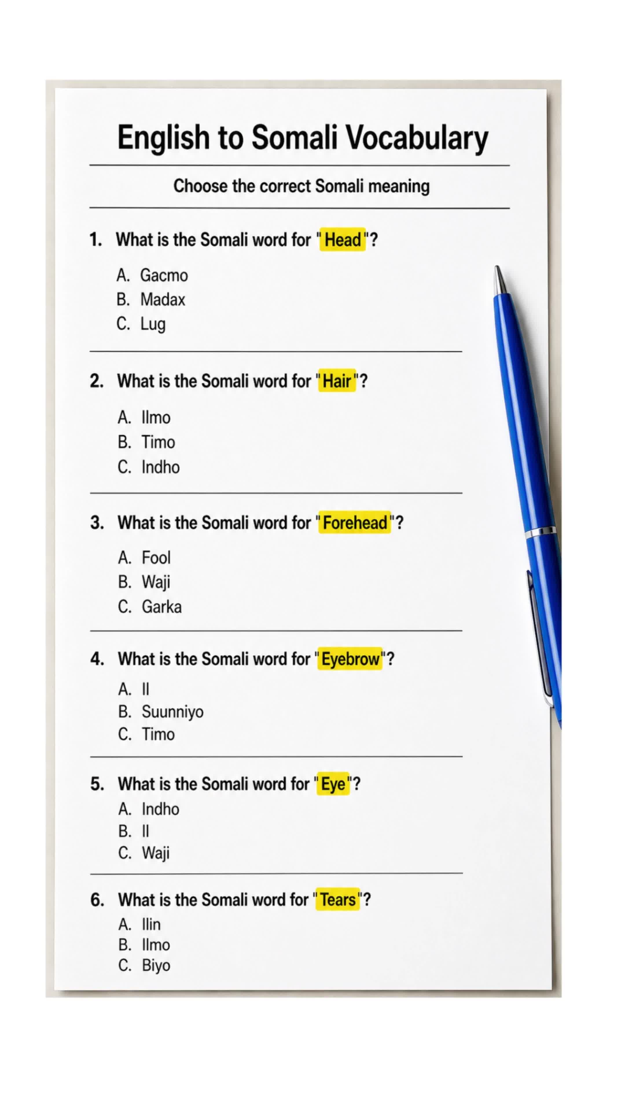 @Learn Somali