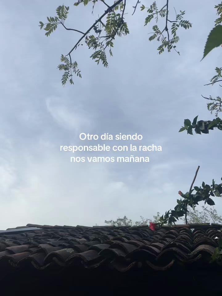 @🥀Tom&aacute;s🪫