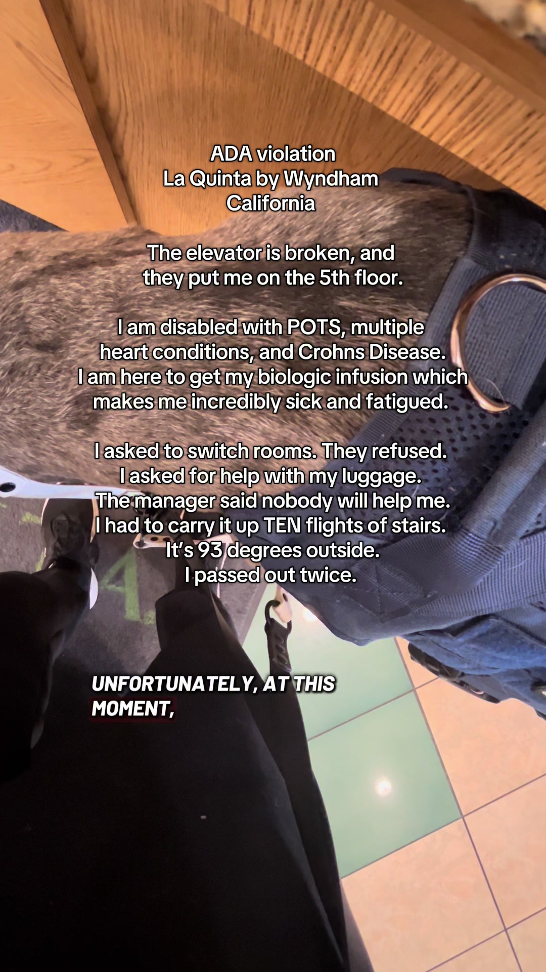 @lex 🐺⛓️