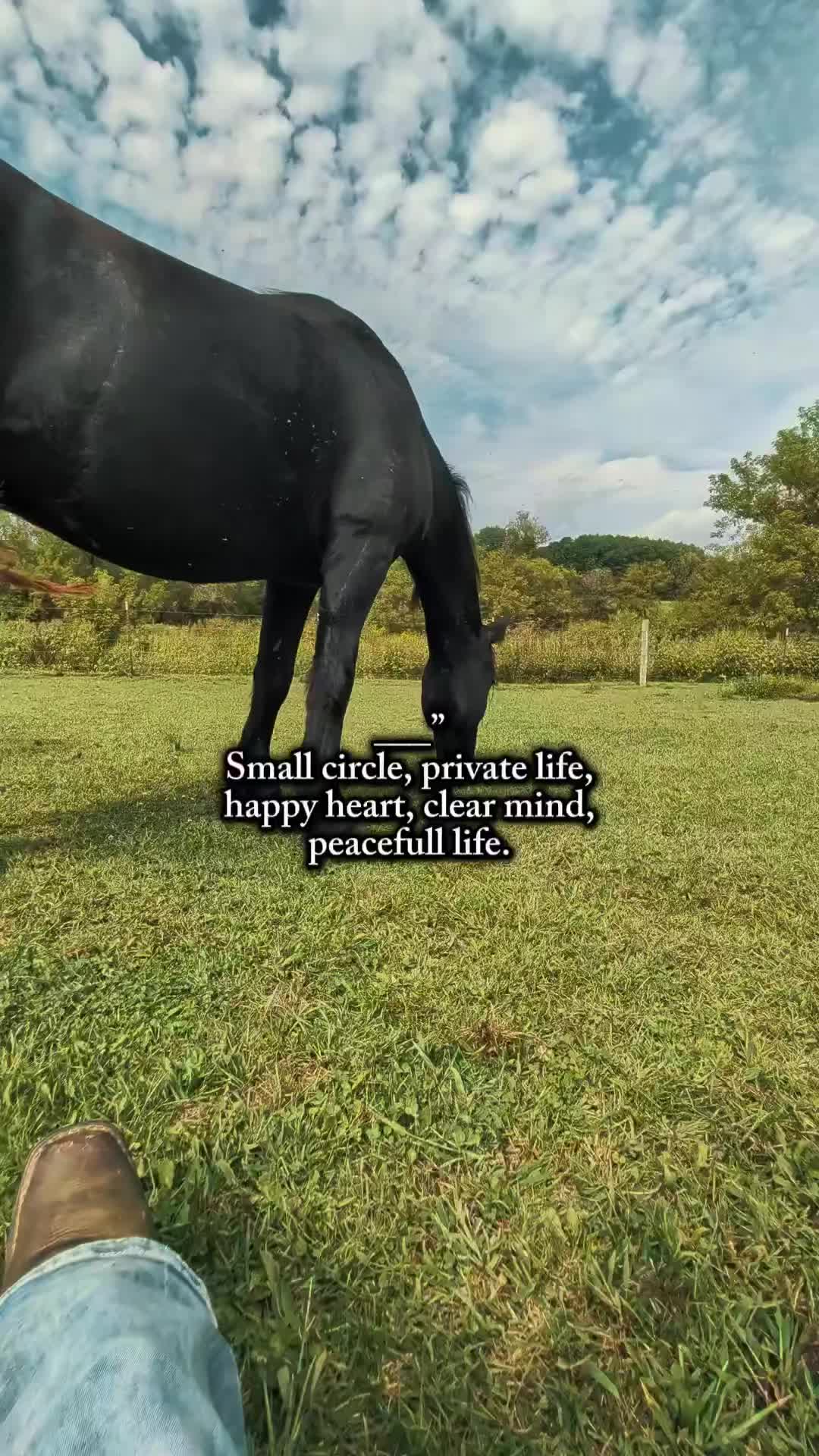 @RogueCowPonies