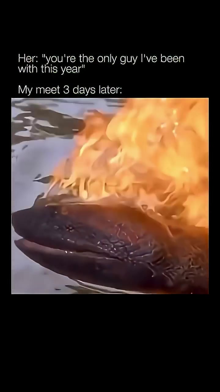 @skarsmusicx
