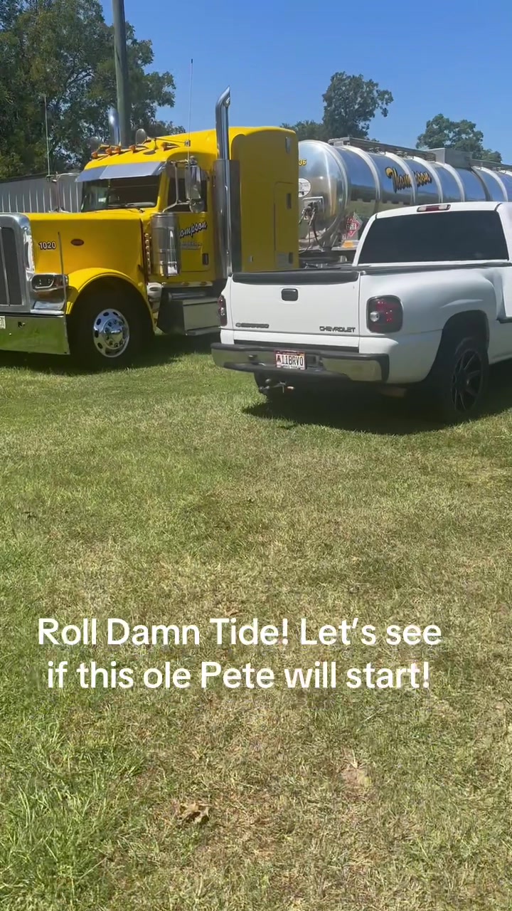@Mullet