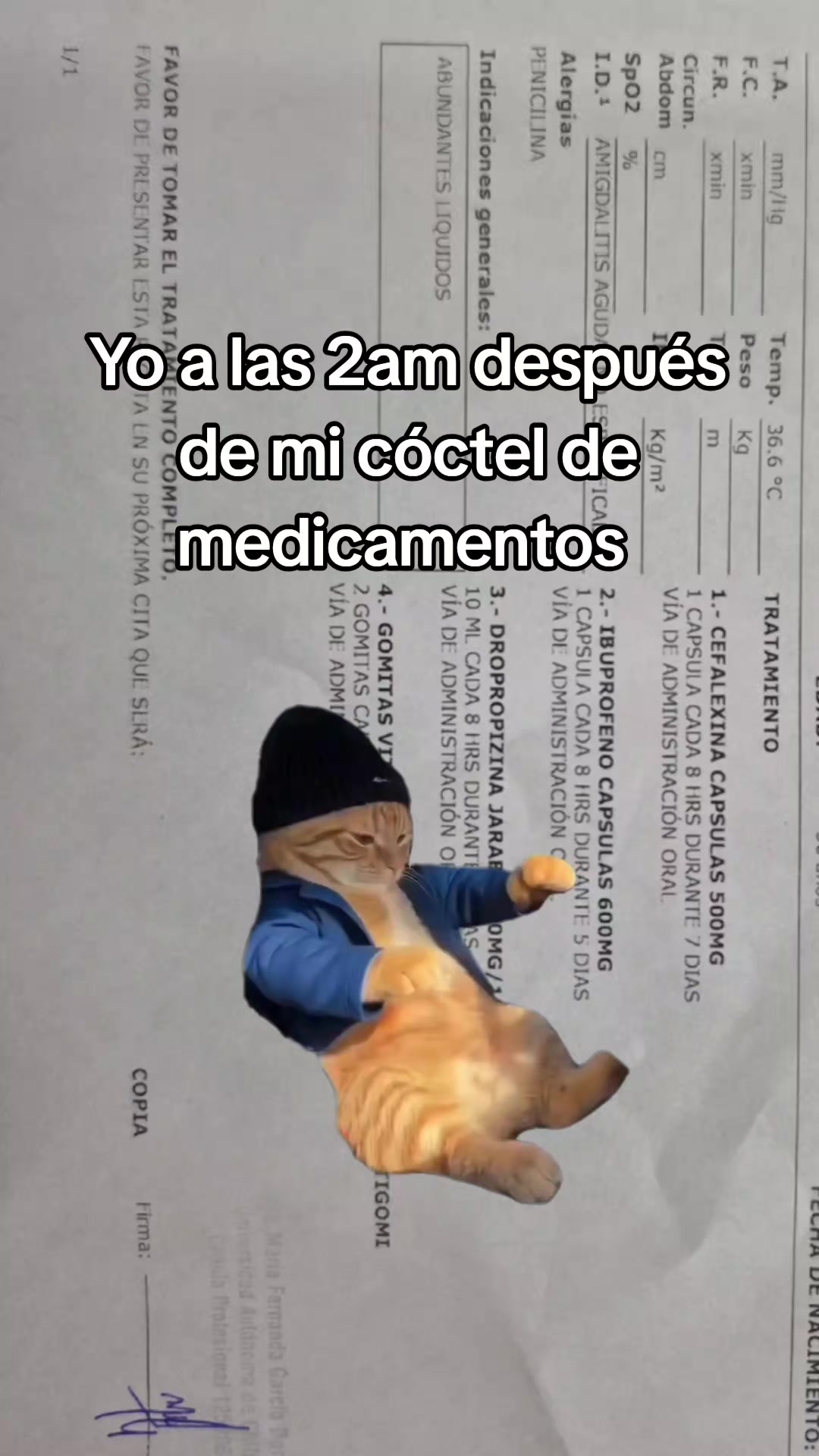 @Denisse V