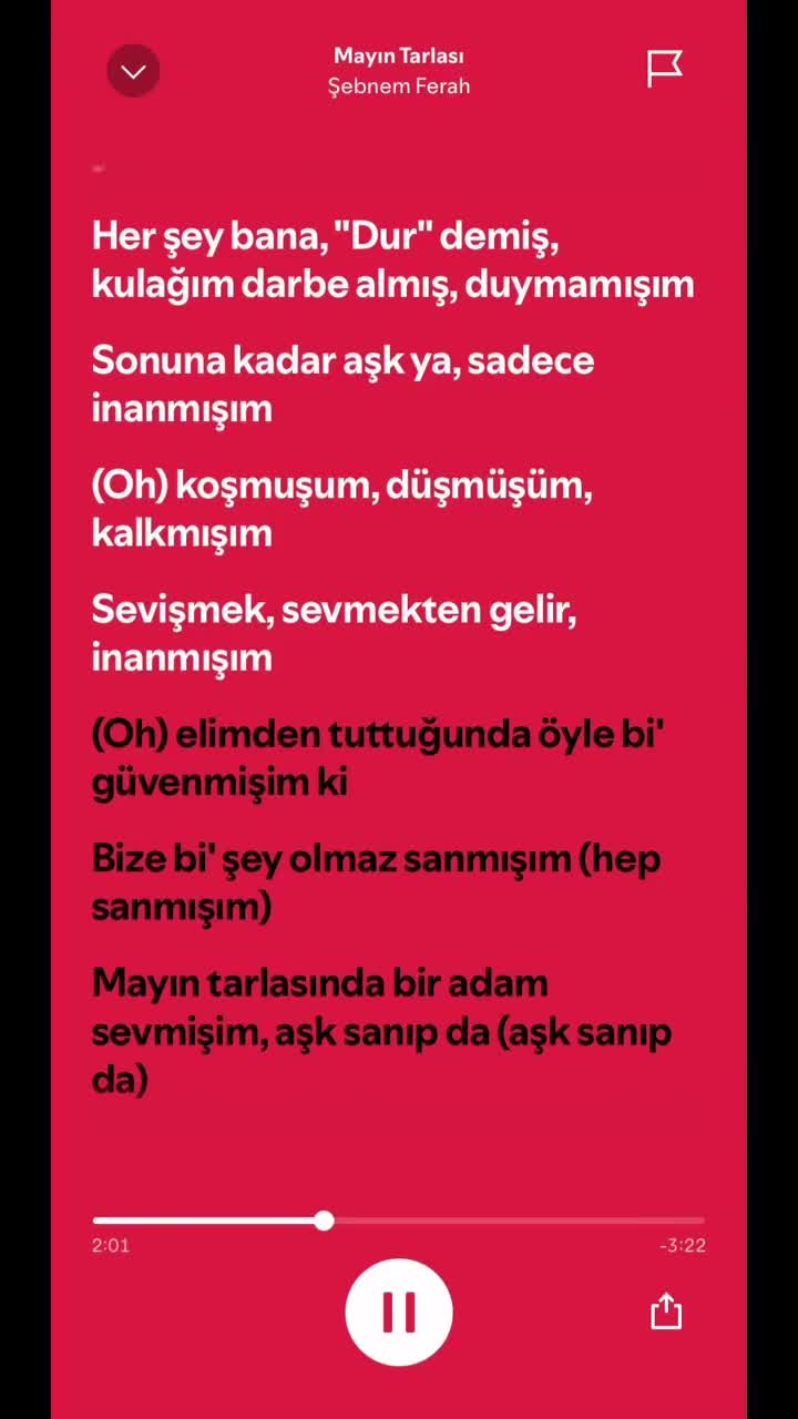 @spotifyy top