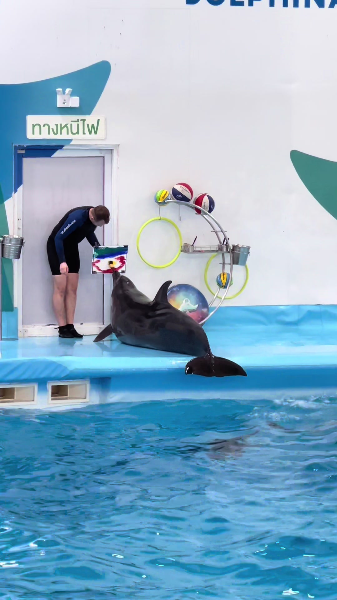 @Pattaya Dolphinarium