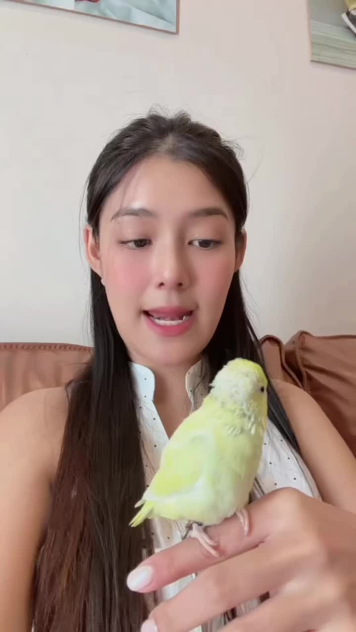 @KatieJourneyเคธี่เจอนี่
