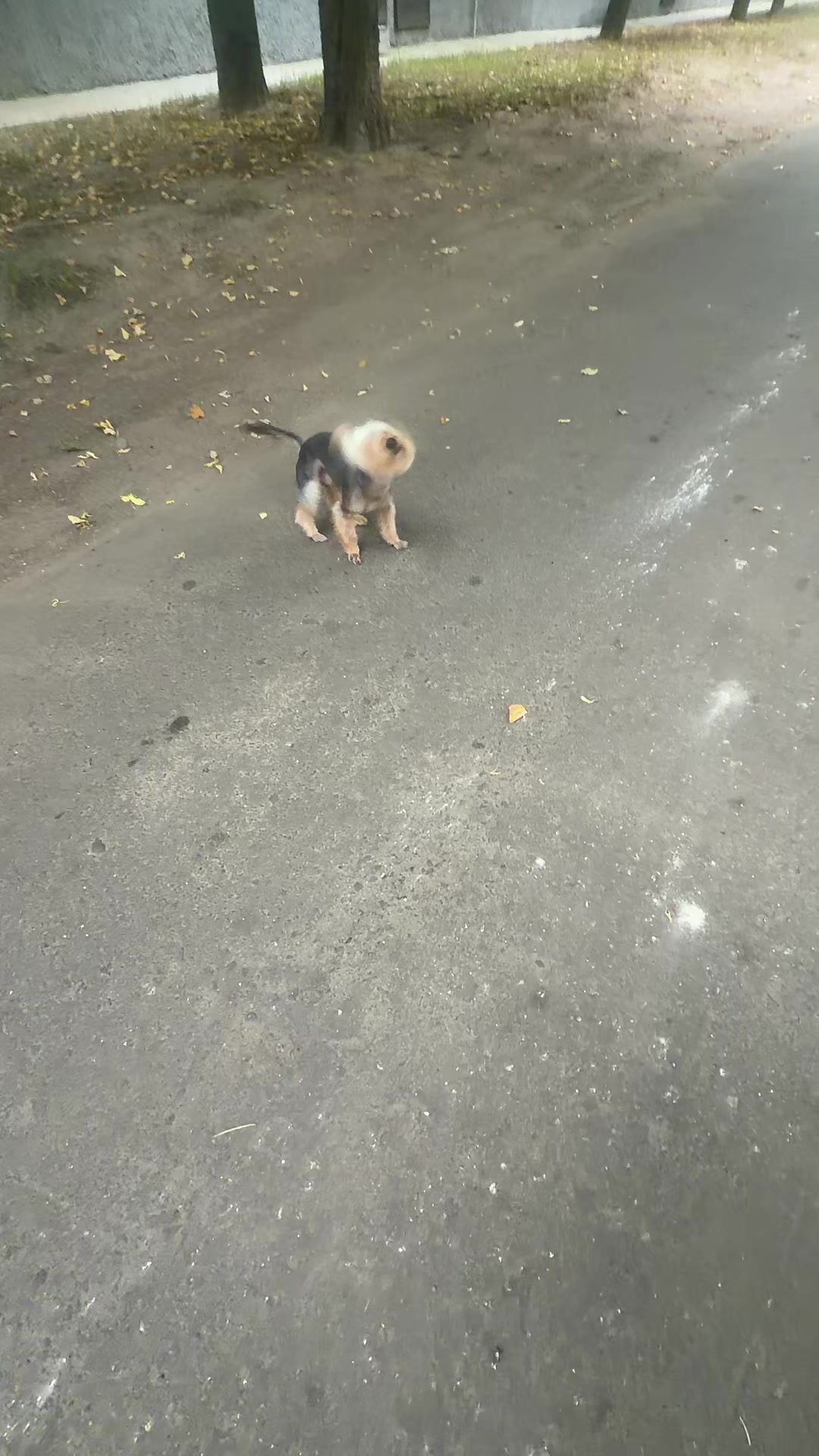 @Олька🎀🎀🎀