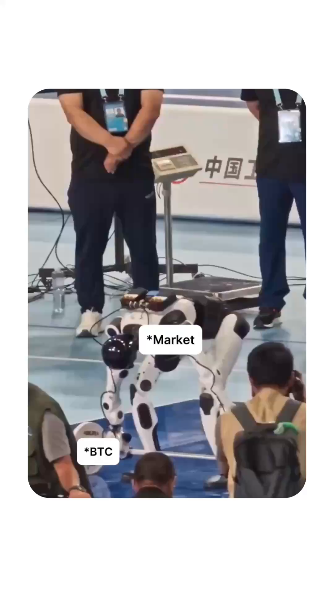 @Bybit
