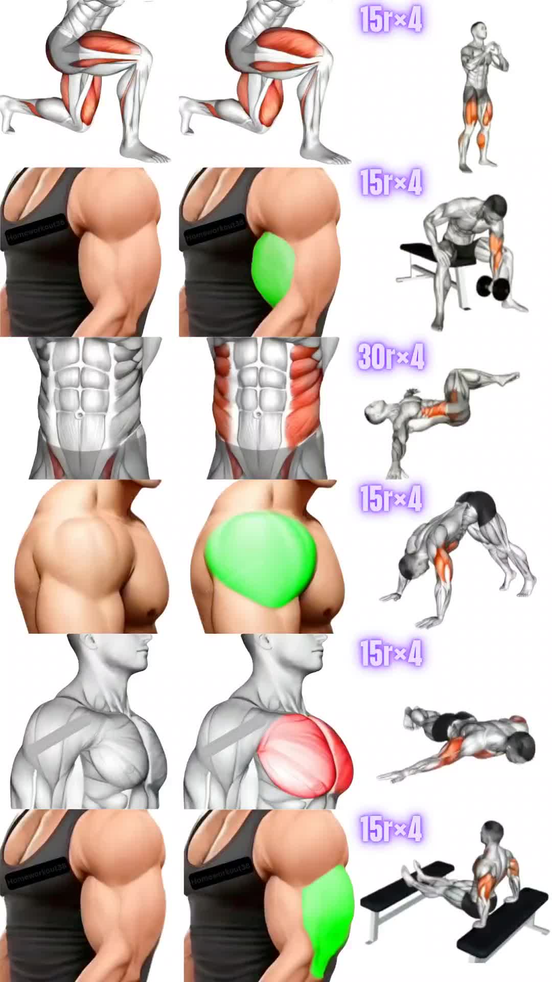@HOMEWORKOUT