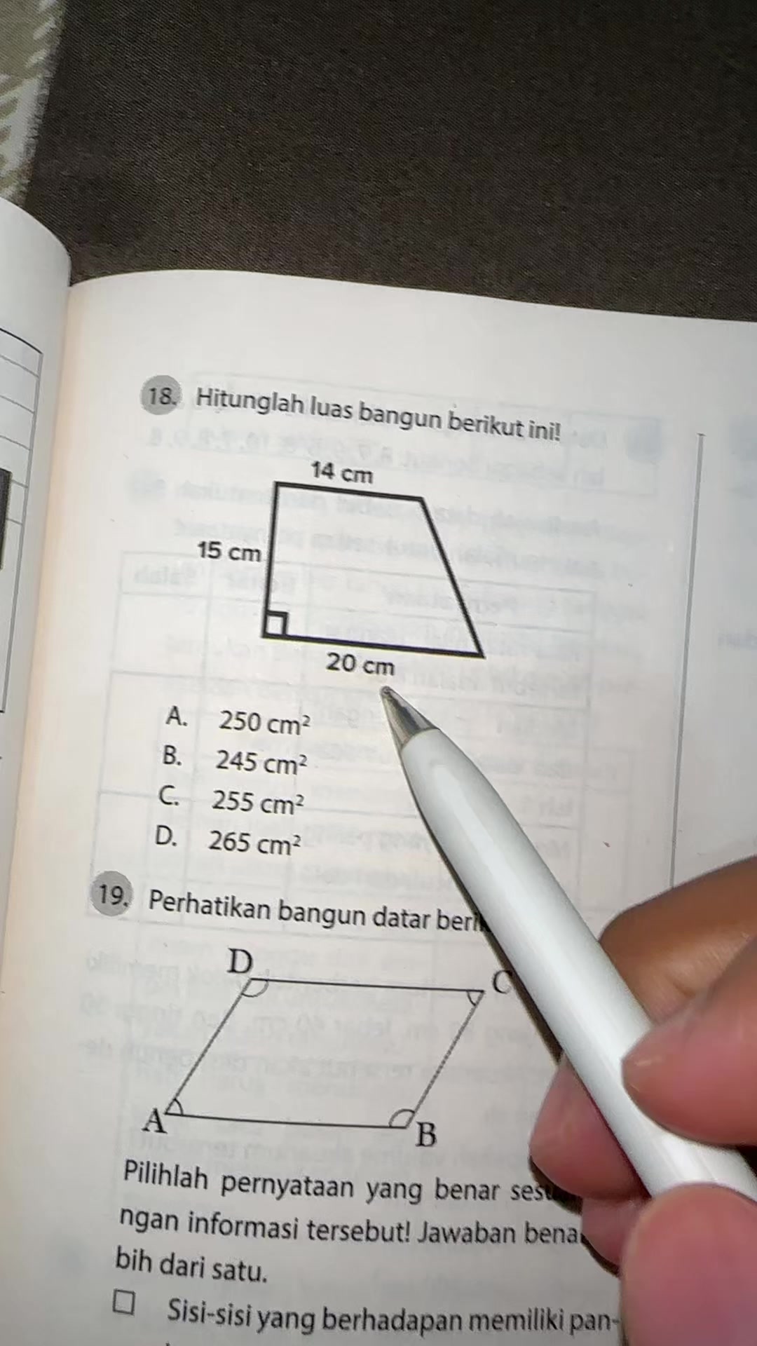 @Ali Mahmudan
