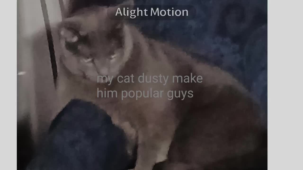 @hi guys
