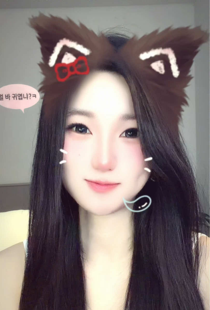 @เหมียวคนสวย🐈🍊