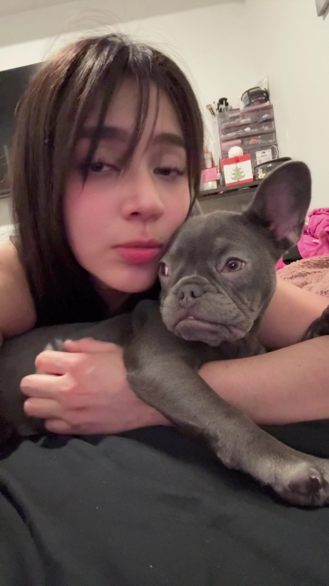 @vibewithleexi