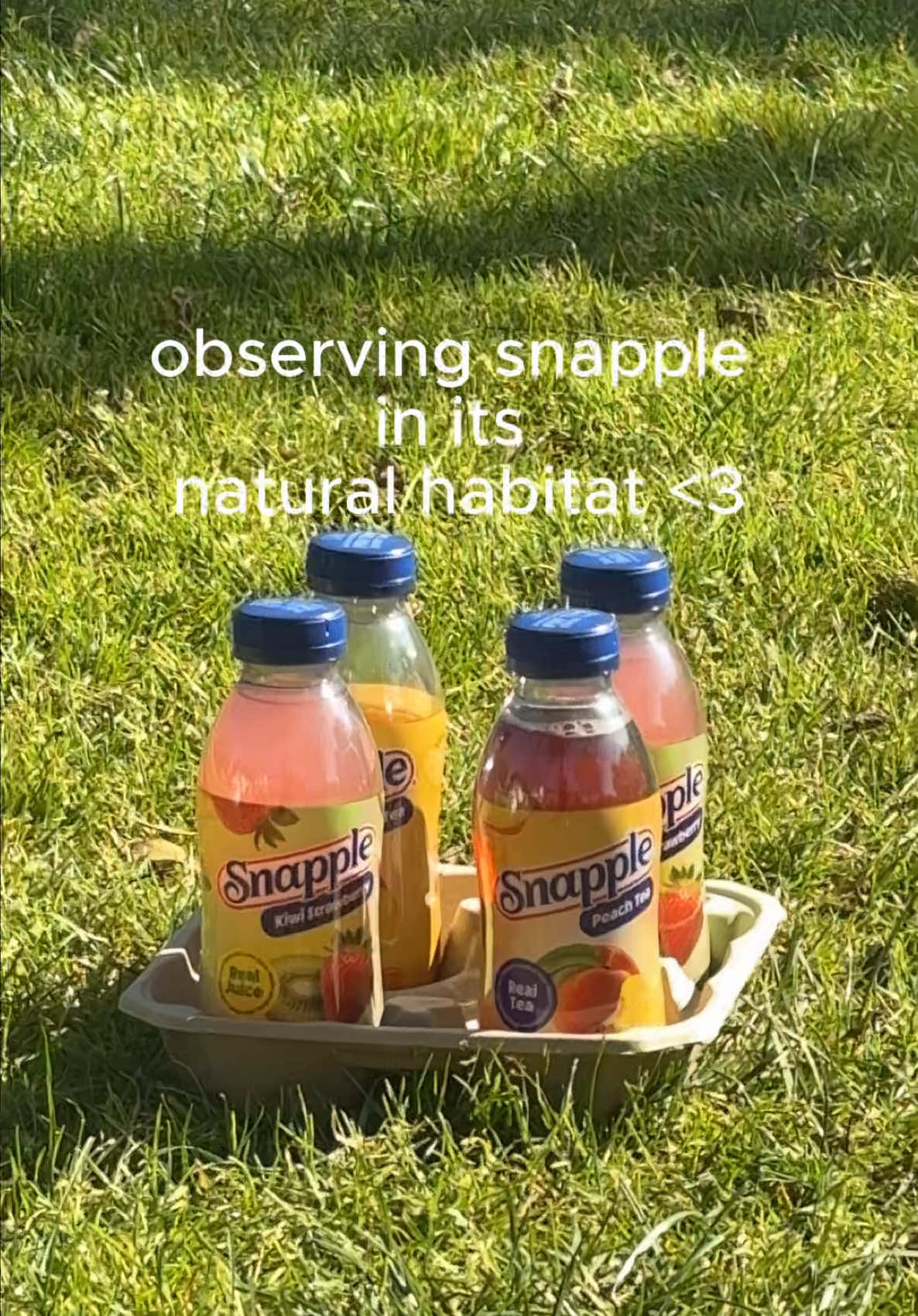 @Snapple