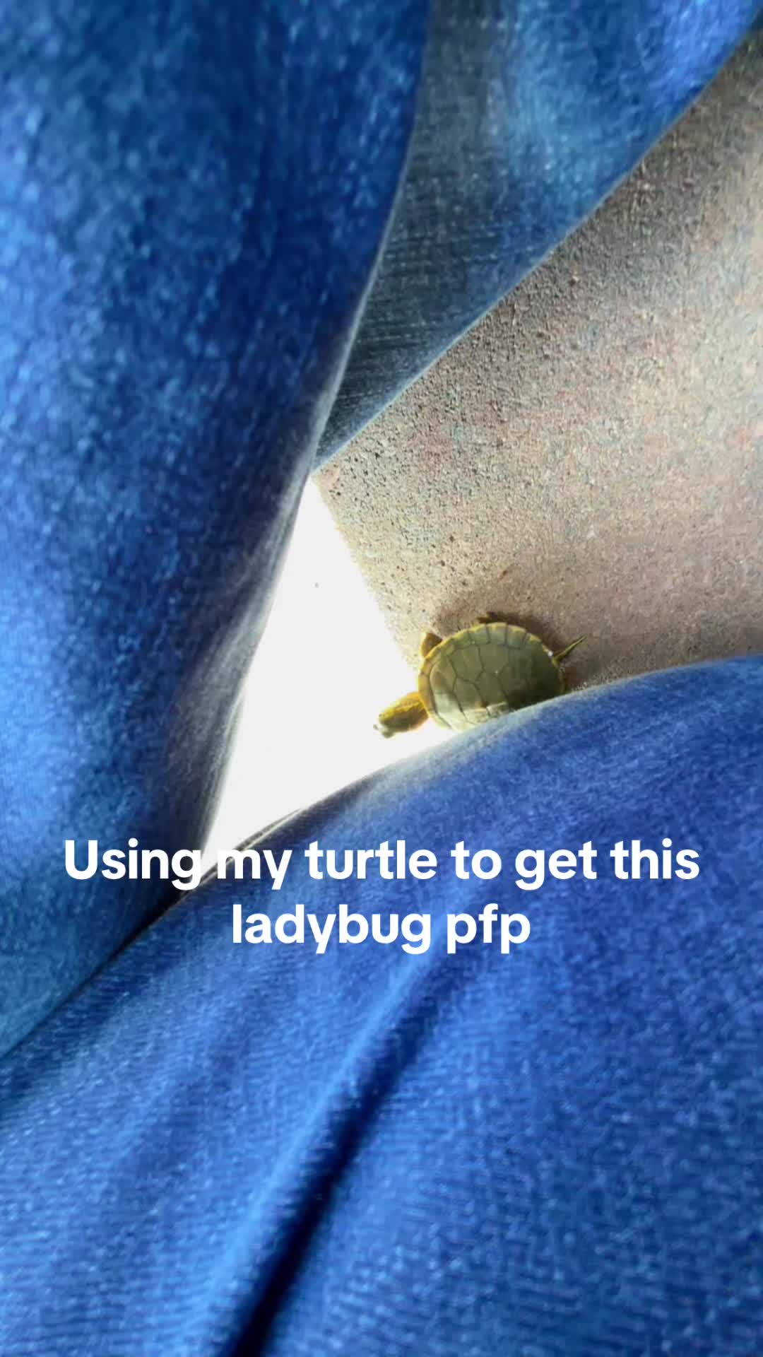 @Riley𓍊𓋼𓍊𓋼𓍊