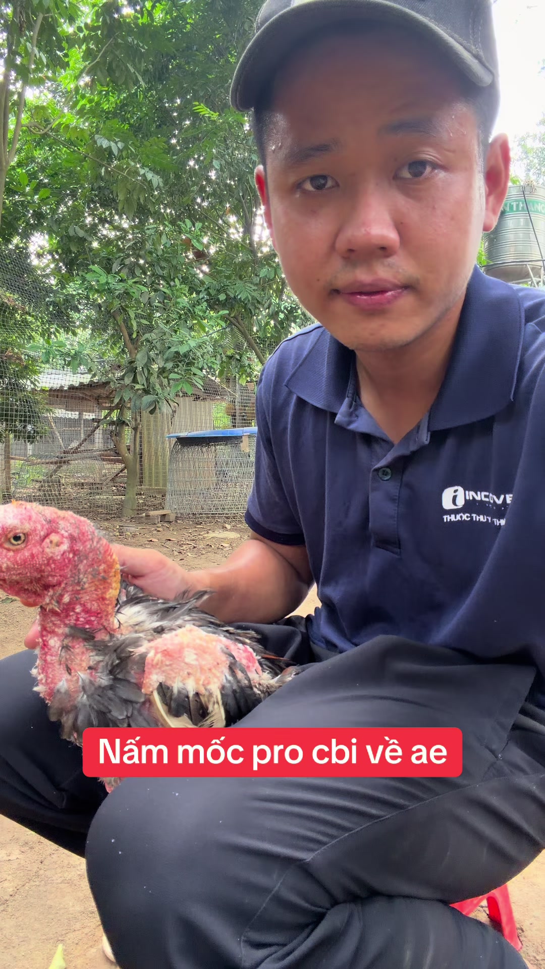 @Quyền Ba V&igrave;