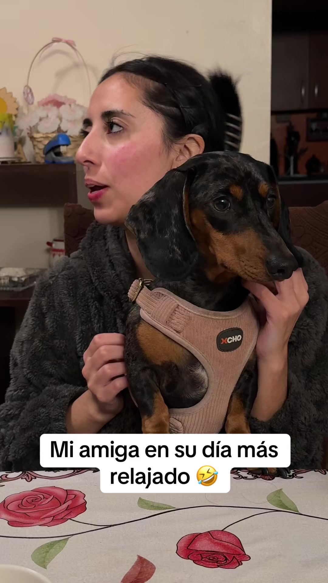 @𝑴𝒊𝒍𝒂 𝑴𝒊𝒍𝒂𝒏𝒆𝒔𝒂 🐾