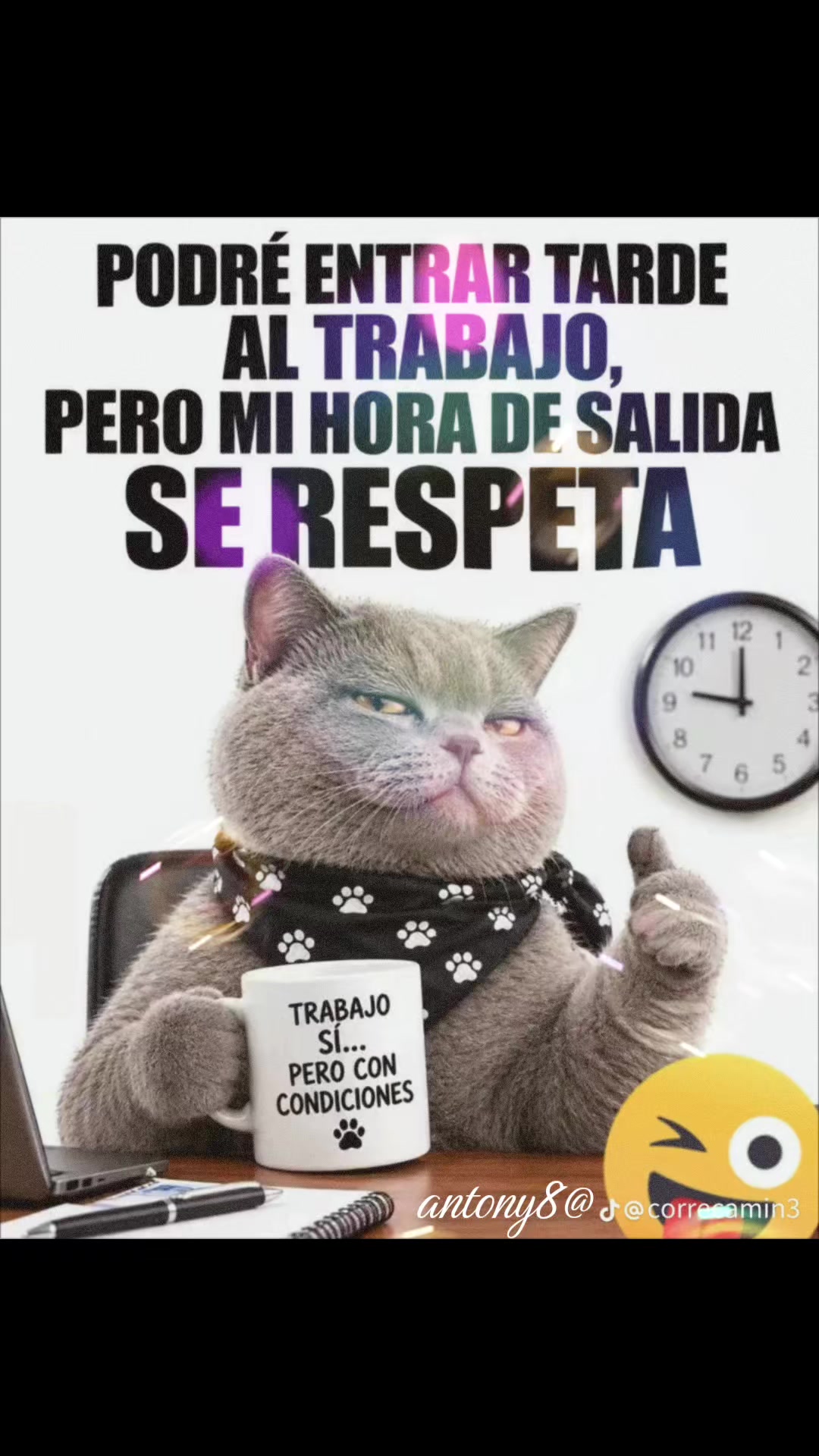 @ochoa45