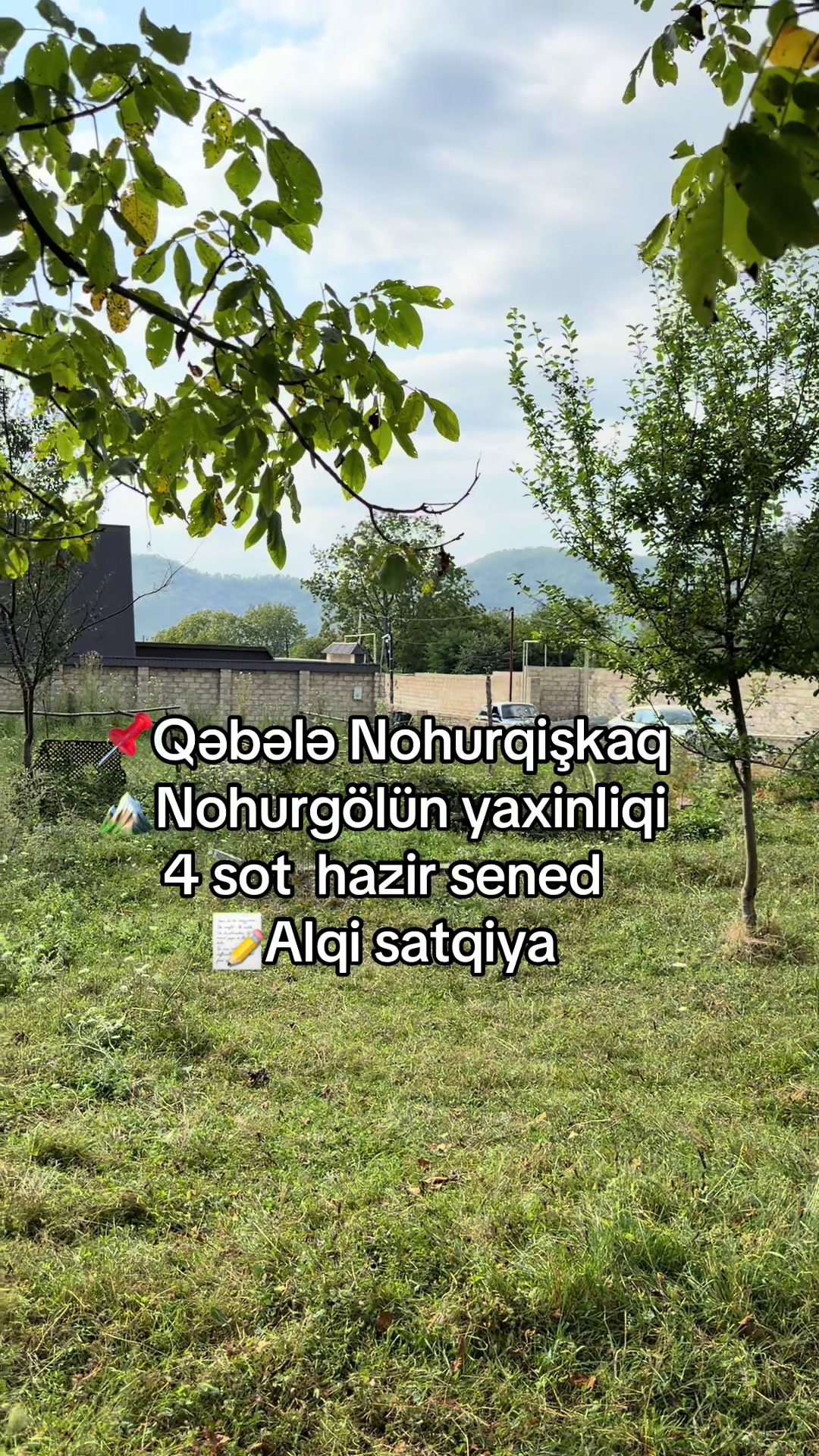 @Qəbələ Əmlak