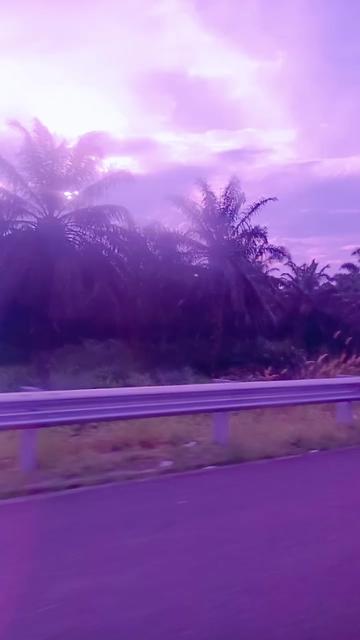 @Rini Phitopang