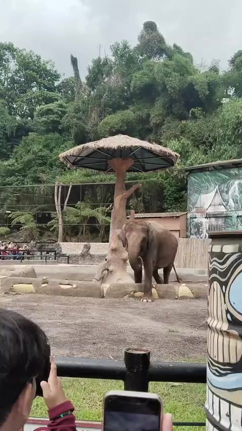 @Rani Sudrayani