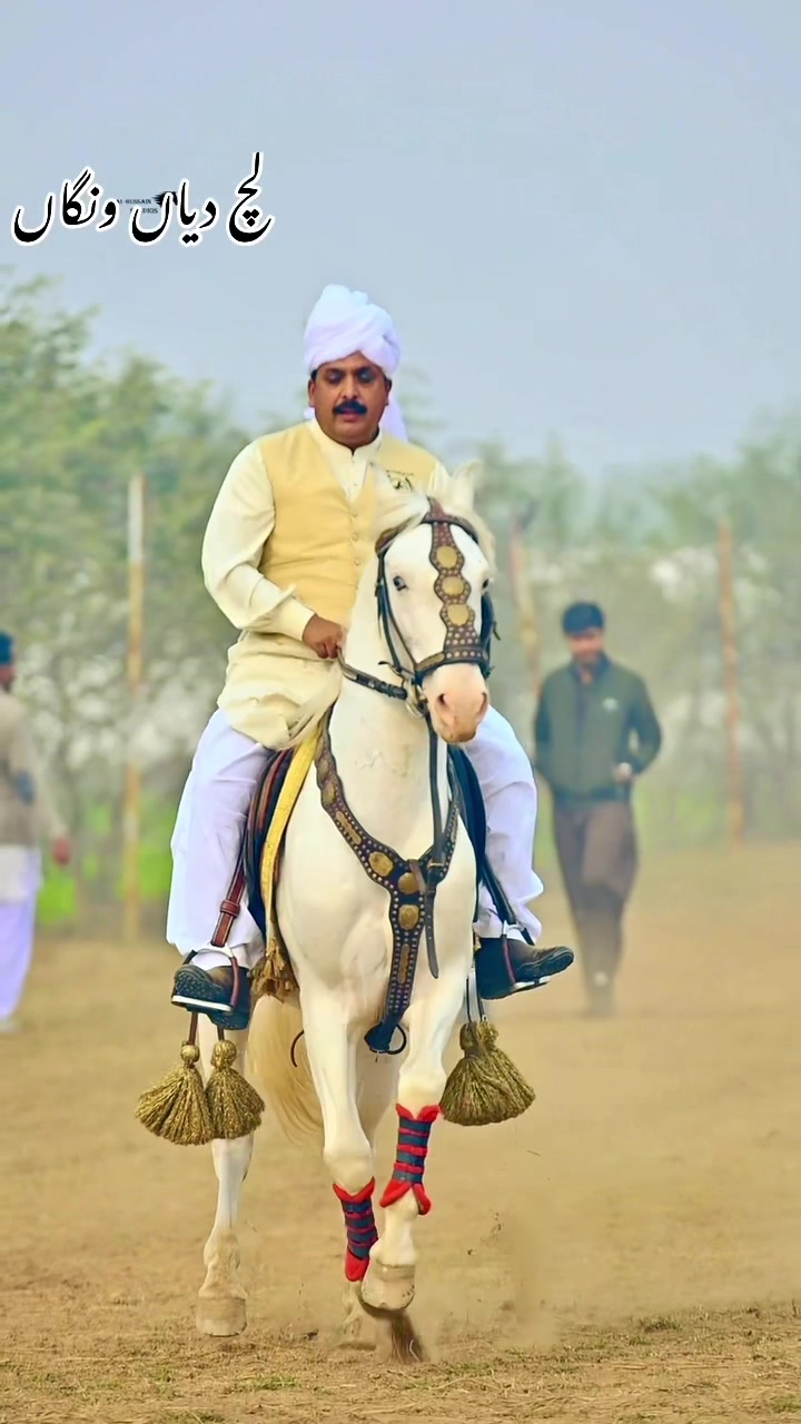 @Gujjarkingclub Chakora