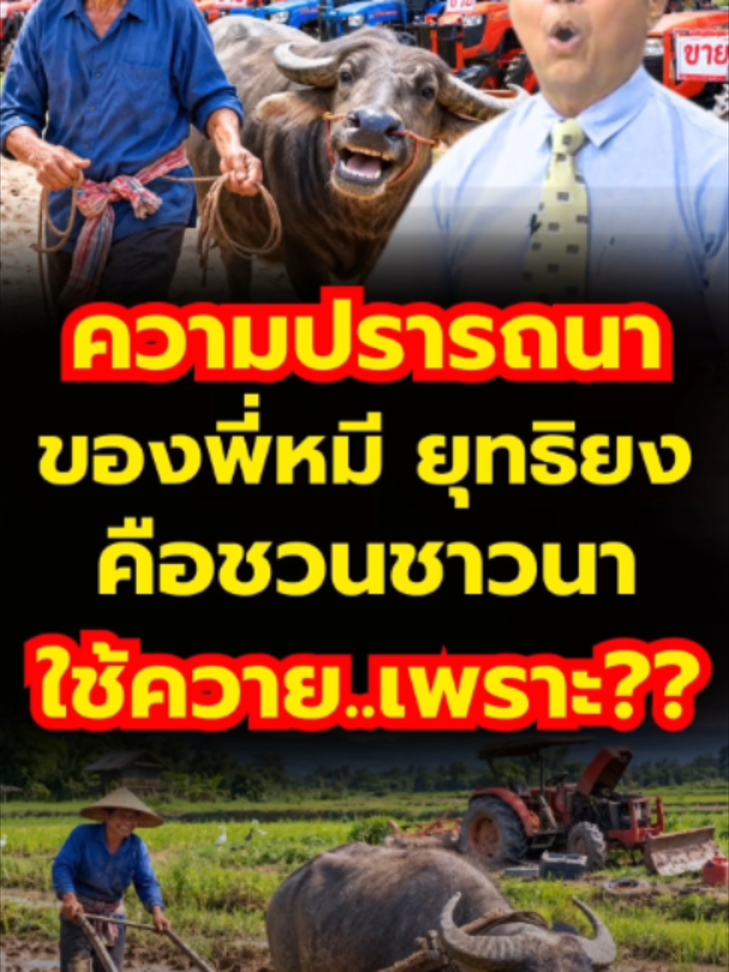 @news1