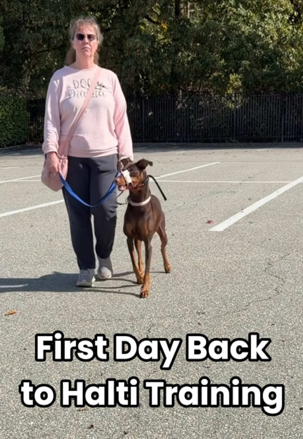@Luna The Doberman