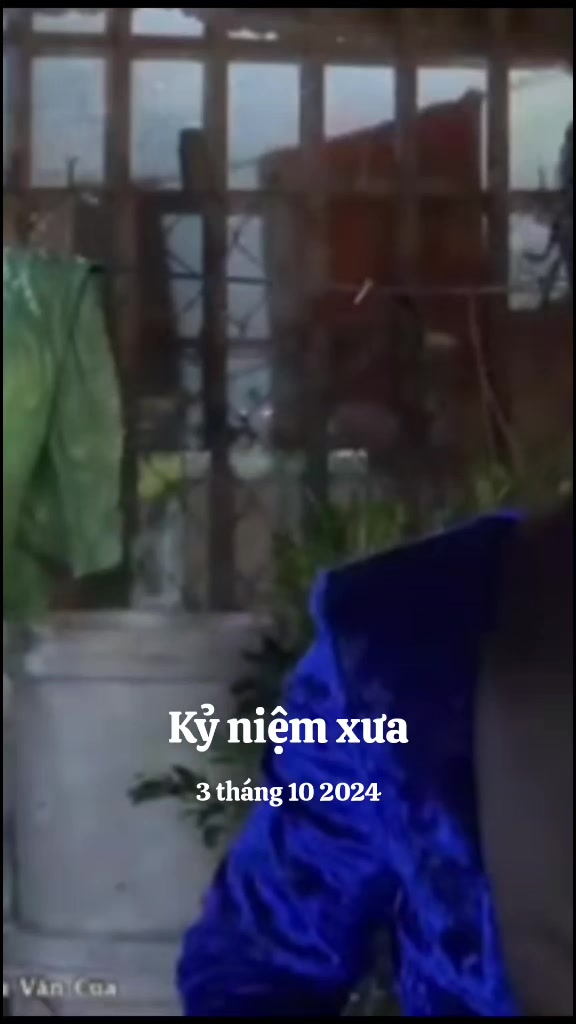 @6359 tui mê https://vt.tiktok.