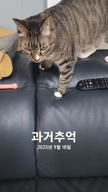@박씨 거실