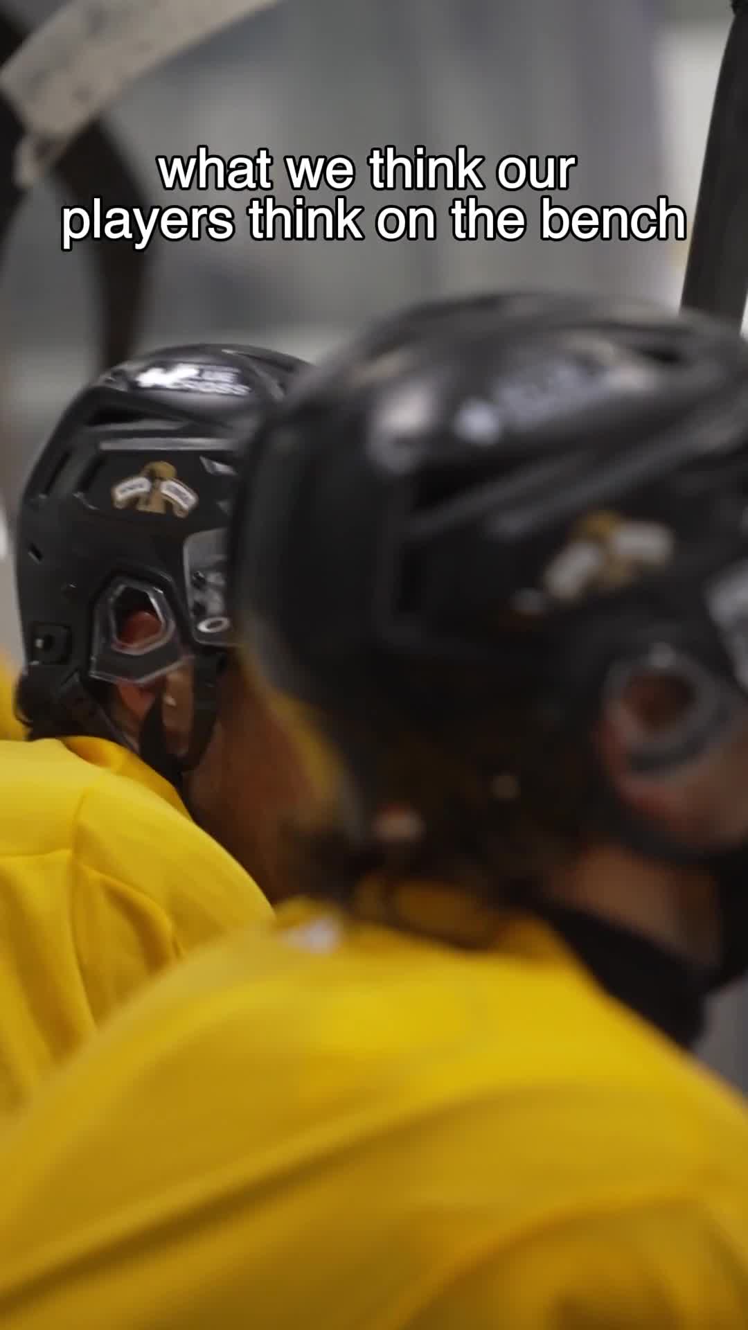 @Brandon Wheat Kings