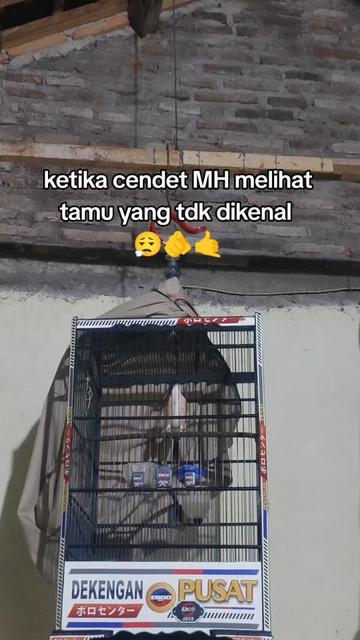 @maskembar12