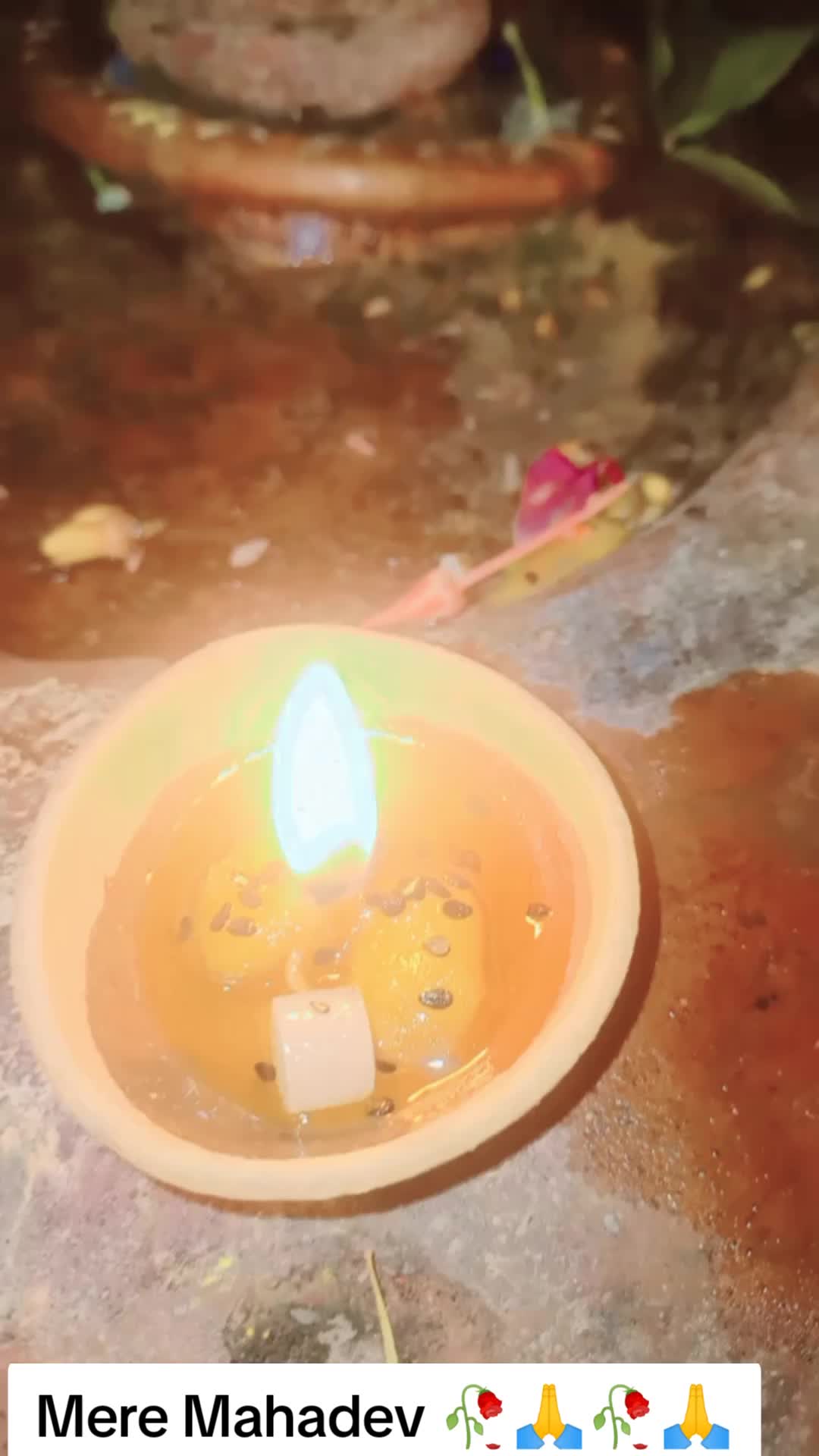 @SharbanSunitaRoyYadav861🤞❣