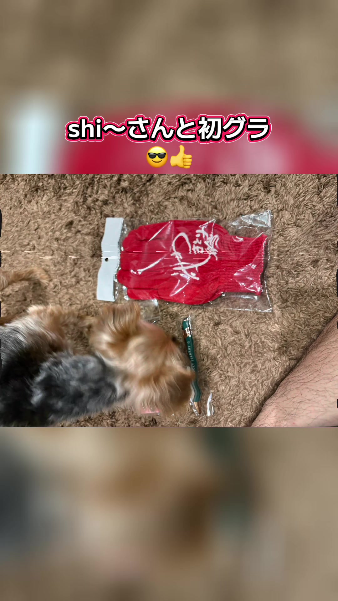@ðžåã®ã«ãªã¹ãæ¡äžžðž