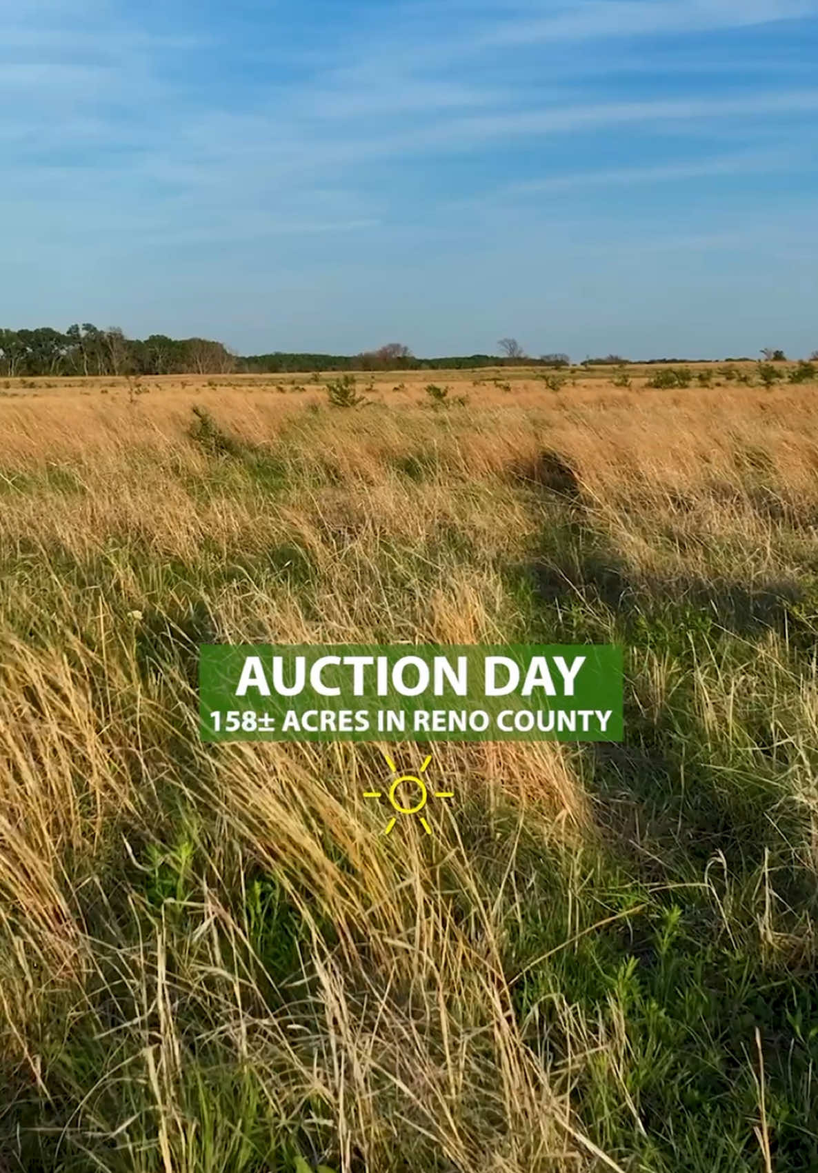 @Sundgren Realty & Auction